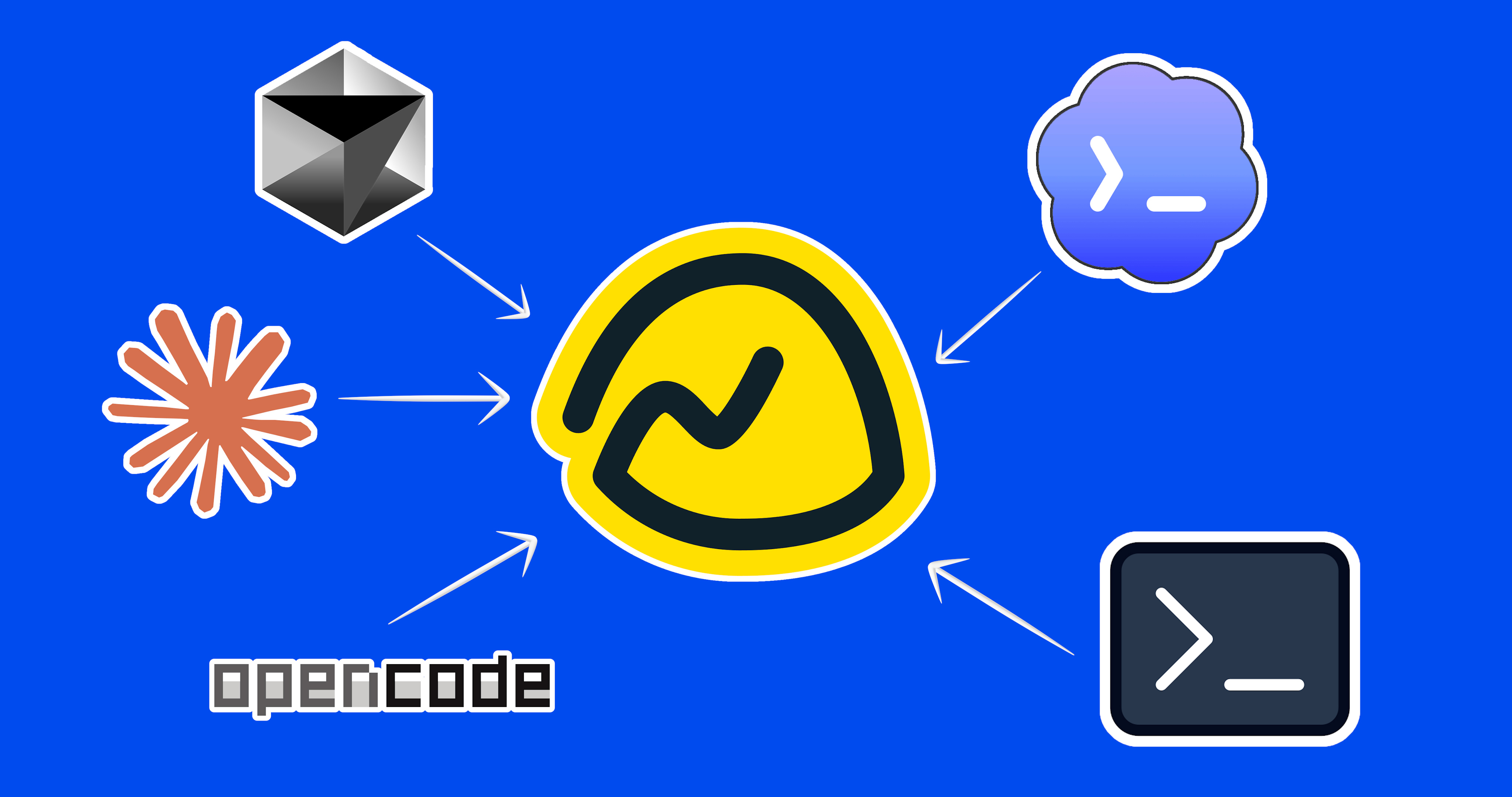 API, CLI, SDK, Skills, and Integrations